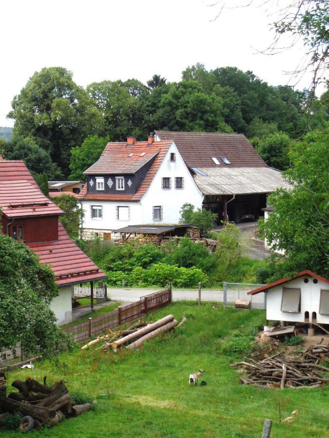 Ferienwohnung Wilhelm Springstille Esterno foto